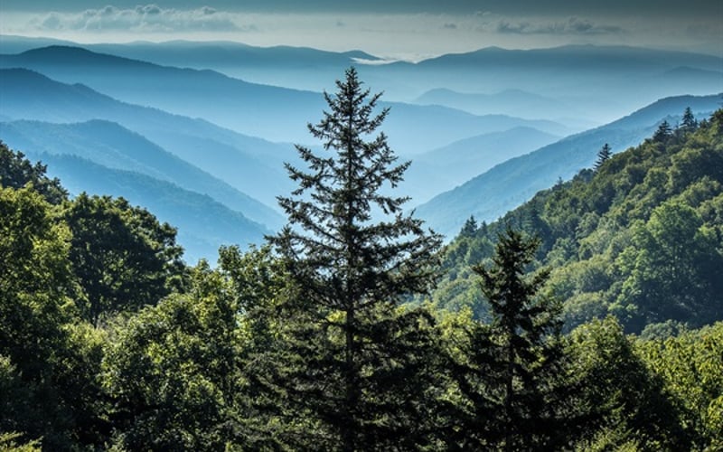 Discover the breathtaking views at New Found land Gap _ the perfect adventure during your stay at Lazy Bear Den!