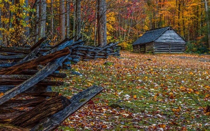 Enjoy the beauty at the Roaring Fork Barn