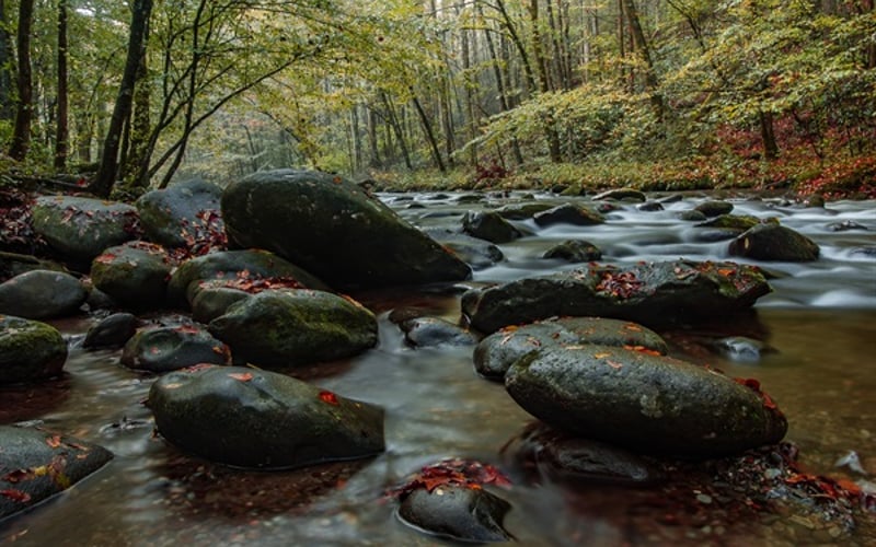 One of the gorgeous mountain streams you can enjoy while hiking or driving in the Great Smoky Mountains!